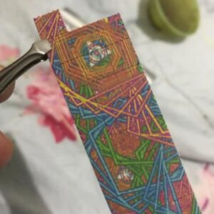 Goblins Den LSD