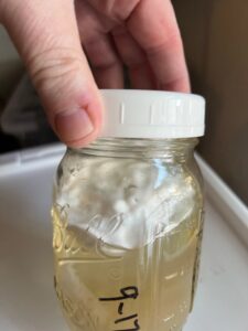 Magic Mushroom Distillate