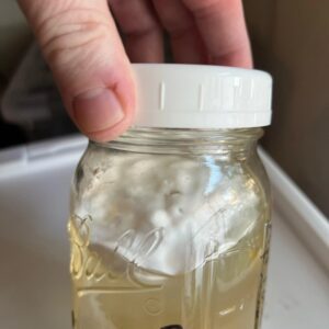 Magic Mushroom Distillate