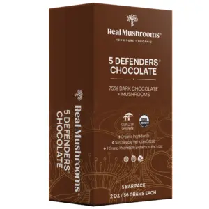 Mushroom Chocolate