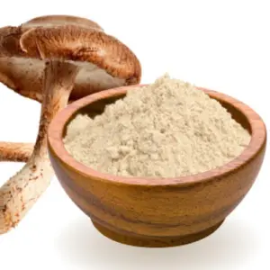 mushroom extract powder